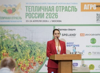Рентабельность тепличного бизнеса в стране снизилась до минимума