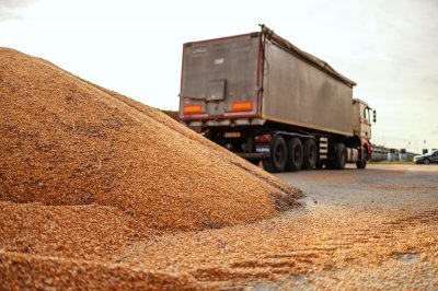 На зерновом рынке формируется новая модель сделок