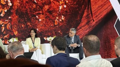 В урожае 2025 года белок пшеницы вырос на 1%, но активизировался клоп-черепашка